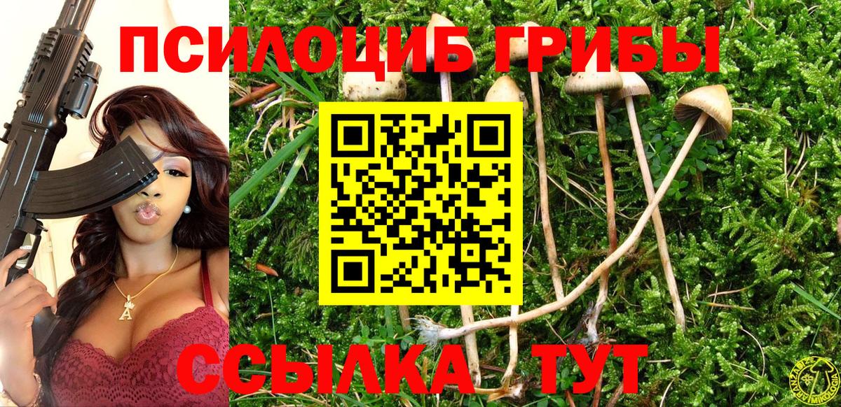 Егорьевск  Галлюциногенные грибы MAGIC MUSHROOMS  Галлюциногенные грибы прущие грибы  Вход с VPN 