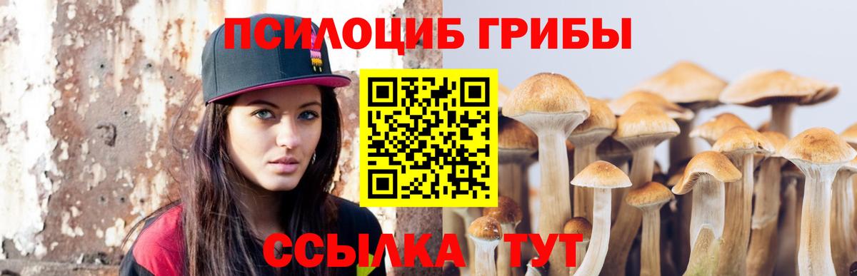Галлюциногенные грибы MAGIC MUSHROOMS Егорьевск